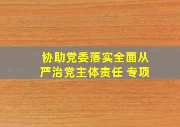 协助党委落实全面从严治党主体责任 专项